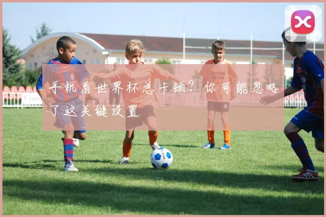 手机看世界杯总卡顿？你可能忽略了这关键设置